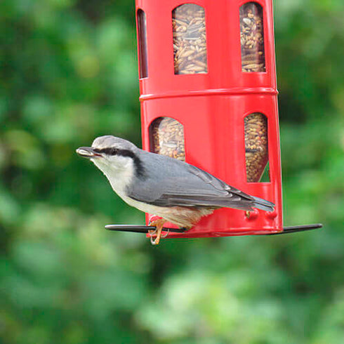 Ruokinta, Combi Feeder siemenille, punainen